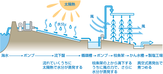 図:流下式枝条架式塩田 ~ 近代から現代~